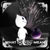 8D Tazzy, 8d Music & Tazzy - What Do You Mean - 8D Audio - Single